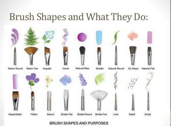 nail brushes infographic 1