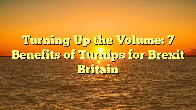 Turning up the volume: 7 benefits of turnips for brexit britain